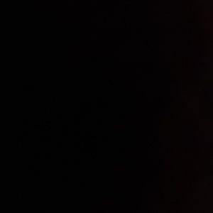 Meet your Posher, Annette